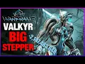 THE BILLION DAMAGE STOMP Valkyr Steel Path Build 2026