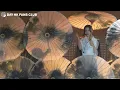 Day 許軼 - COLLAR“GAME ON”LIVE 2025 - Trouble Trouble、Atypical、AFK??? - DayFancam -  2025.08.28-29