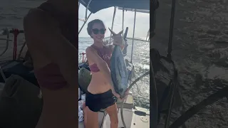 Catch and cook #tuna #seafood #cooking #sailingbyefelicia