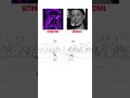 Download Lagu MATUSHKA (ULTRAFUNK) vs (ORIGINAL) Which one is bettter?