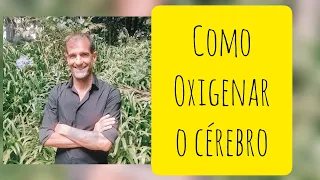 Como oxigenar o cérebro
