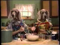 Sesame Street - Wegman s Dogs Baking a Cake