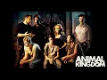 Animal Kingdom - Trailer