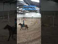 Lagu manege berkenheide
