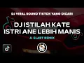 Download Lagu DJ ISTILAH KATE TAPI ANE TETAP SETIA SAMA YANG PERTAMA FYP TIKTOK ELART REMIX