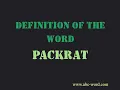Definition of the word Packrat