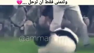سلامة البك يا باندا 