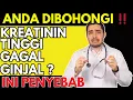Download Lagu KREATININ TINGGI Bukan Gagal Ginjal? ANDA TELAH DIBOHONGI! Ini 5 Penyebab Sebenarnya!