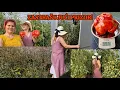 Download Lagu OPREZNO DANAS❗️Mama se vratila iz bolnice, nastavljamo gdje smo stali✨️
