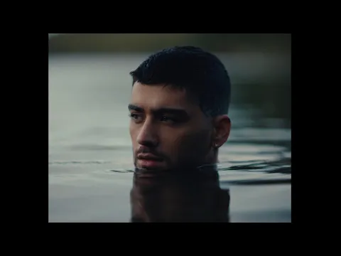 Download MP3 ZAYN - Stardust (Official Video)