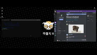Cool Discord Webhook Program Python
