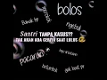 Download Lagu Dj santri