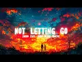 Download Lagu [ETM] - Not Letting Go - Suedo feat. Andy Delos Santos (Lyrics)