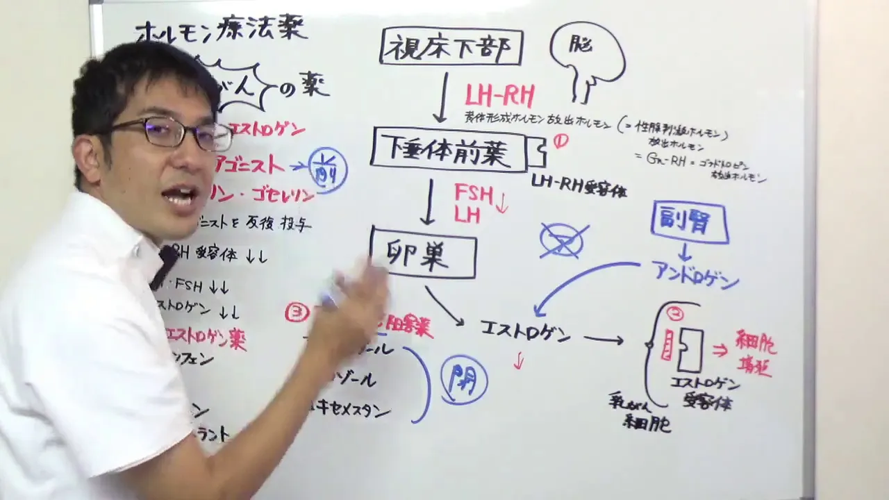 かんたん薬理学 抗がん剤 ホルモン療法薬