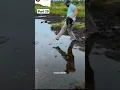 Download Lagu Loh kok ilang orang nya🤣🤣 #shorts #meme #memengakak #viral