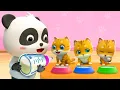 Download Lagu Kitty Cat Song | Play with Kittens | Pet Care Song | Nursery Rhymes \u0026 Kids Songs | BabyBus