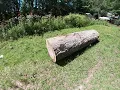Red oak log weight