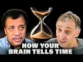 A Neuroscientist Explains How Time Works in the Brain