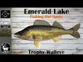 How To Catch Trophy Walleye Emerald Lake Fishing Planet Hot Spots