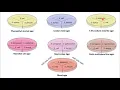 Lab 10 - Selective and Differential Media