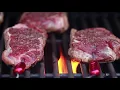 GrillEye TOP Quality Smart Bluetooth Grilling Smoking Thermometer with FDA cleared probes