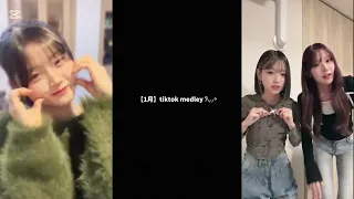 1月 Tiktok Medley 𐙚 