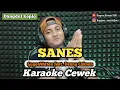 Download Lagu Sanes - karaoke duet tanpa vokal cewek dangdut koplo