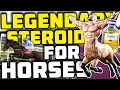 LEGENDARY Steroid For Horses - What It Feels Like To Be On Equipoise