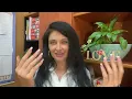 Ukrainian Dating Scam What is a scam - and what is not