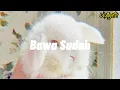 Bawa Sudah - Feat. Hendrik wrk // Tik Tok Song
