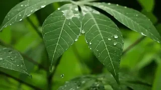 musik tradisional sunda degung bubuy bulan instrumental