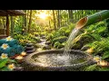 TRANQUIL ZEN GARDEN 🌿 Gentle Flowing Water Sounds for Relaxation & Wellness