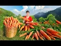 Download Lagu Harvesting Many Carrots Goes to Countryside Market Sell – Farm Life | Phuong Harvest Life