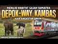 Download Lagu Cara Ngeteng ke Taman Nasional Way Kambas Naik Angkutan Umum
