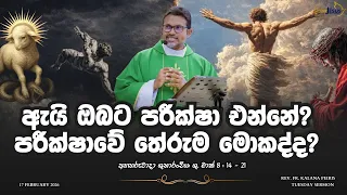  tuesday sermon rev fr kalana peiris