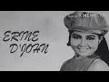 Lagu ERNI JOHAN -  Teluk Bayur