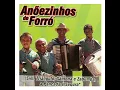 Que forrozão - ANÕESZINHOS DO FORRÓ
