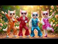 Lagu Dudi Dudi Dam Dam 😀😅| Cutest Cat Dancing On Dudi Dudi Dam Dam😀😁 | cat dance | #catdancing 