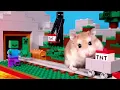 Major Hamster is MINECRAFT MASTER - Real pet hamster in Minecraft world