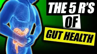 The 5 R s Solve Digestive Issues NOW Gut Health