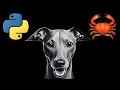Adding python bindings to iggy rs