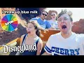 DISNEYLAND EXCEPT A WHEEL DECIDES OUR DAY