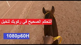التحكم التام في أصبع      شرح عن التحكم الصحيح في ركوبك للخيل واستجابة الحصان لك           دندنها