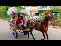 Download Lagu Naik delman Istimewa ~lagu anak balita ~lagu anak indonesia~naik delman Daan mogot