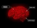 AI Concepts Every JavaScript Engineer Should Know