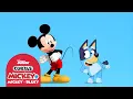 Curtas Mickey Mickey e Bluey