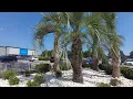 Sam s Club 4K - Myrtle Beach South Carolina
