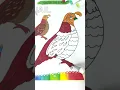 Coloring Quail with Soft Markers