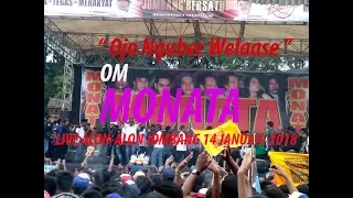 ojo nguber welas e om monata live alon alon jombang