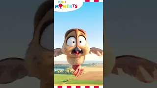 Pooping In The Sky Migration Mini Moments